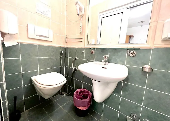 Alius And Freerome Roma