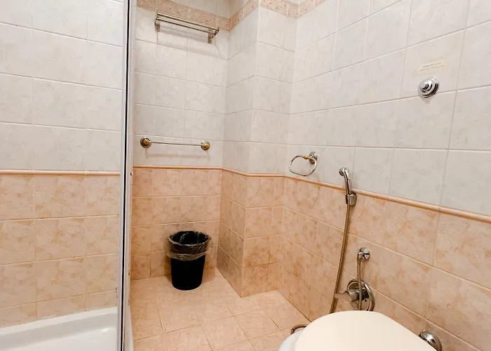 Alius And Freerome Roma